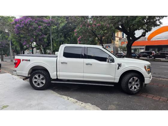 FORD F-150 5.0 V8 GASOLINA CD PLATINUM FX4 AUTOMÁTICO